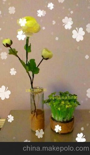 玻璃工 藝裝飾瓶 玻璃插花瓶 玻璃工藝蠟燭臺(tái) 木塞口玻璃瓶圖片