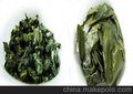 供应茶条卷曲