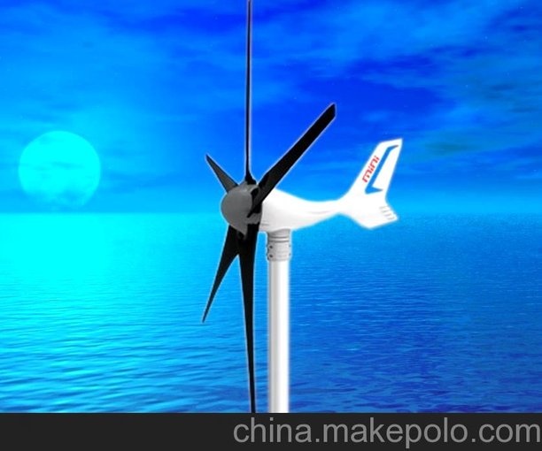 供應英飛風(fēng)力五葉片300W MINI風(fēng)力發(fā)電機圖片