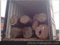 老挝/酸枝木材进口清关/木材报关代理公司