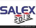 2013 SALEX巴西游乐设备展主题公园设施展