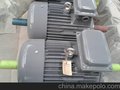  双轴 YZ225M-8/22KW鼠笼式三相异步电动机