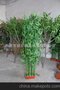 佛肚竹 仿真佛肚竹 盆栽植物 植物工艺品