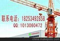 长期大量供应QTZ50塔吊/塔吊