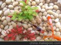 万能粉碎机
