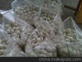 供应山东金乡振祥大蒜加工厂供应优质大蒜黑蒜2014