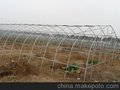 浙江衢州大棚，浙江衢州蔬菜大棚，浙江衢州大棚骨架，连栋大棚