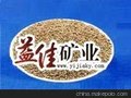 益佳益佳供应各种优质果壳粉