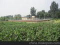北京大兴医疗污水处理设备_工程_厂家