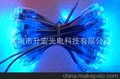 LED外露灯 LED单色外露防水灯串