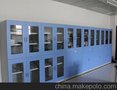 供应全钢器皿柜 买实验室家具设备 买器皿柜 苏州浩博实验室