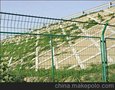我厂专业生产双边丝护栏网-
