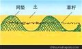 三维植被网垫