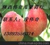 陕西毛桃供应超越富岛秦王200-1桃