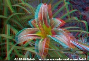 3D仭,3D仭