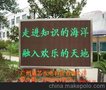 供应诚芯光电P16LED显示屏，学校专用条屏led显示屏