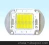 LED大功率集成50W LED集成光源 LED厂家直销LED厂家