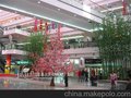 桃花树