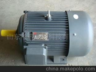 專業(yè)供應(yīng)Y225M系列三相異步電動(dòng)機(jī)，極數(shù)分2、4、6、8，不同功率圖片