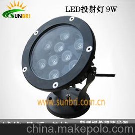 (yng)LED9W12WͶ ⷺ ͥԺƺ Ͷ