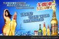 580ML 雪津啤酒（精品 ) 百威英博雪津啤酒诚招各区域经销商