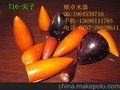 木制工艺品