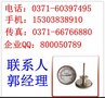 供应昌晖100MM轴向卫生型双金属温度计