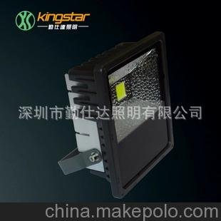 正白 50W LED泛光燈 美國普瑞 集成COB芯片 內置防水電源圖片