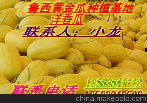 沙白瓜 伊麗莎白瓜 豐甜瓜現(xiàn)已大量上市圖片
