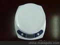 WeiHeng牌高精度的手提电子称、行李称、箱包称和家用称