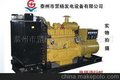 罡杨新产品..柴油发电机组