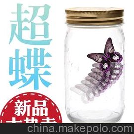 Ʒ  Butterfly jar  Ϧ˹(ji)Y