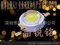 1W大功率LED点光源 用于LED照明 路灯