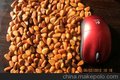 精品大颗粒每斤1000颗粒25一斤