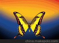 3D 3D绰