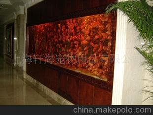 商業(yè)魚缸/鑲嵌式/海底世界圖片